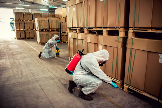 Best Pest Prevention Services  in Torrance, CA