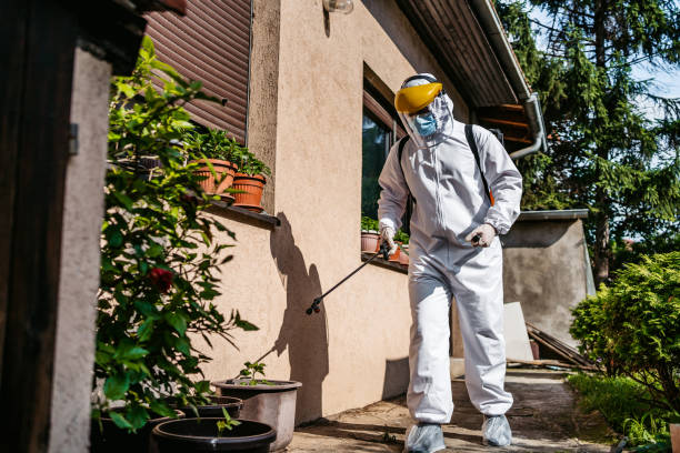 Best Emergency Pest Control  in Torrance, CA