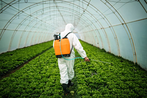 Best Mosquito Control Services  in Torrance, CA