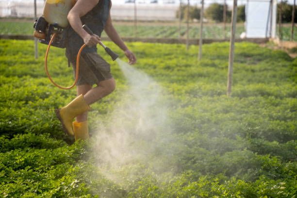 Best Pest Inspection Near Me  in Torrance, CA