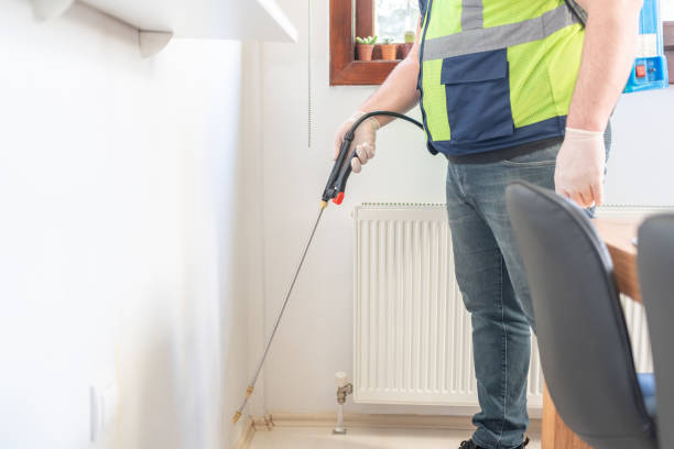 Best Termite Control Services  in Torrance, CA